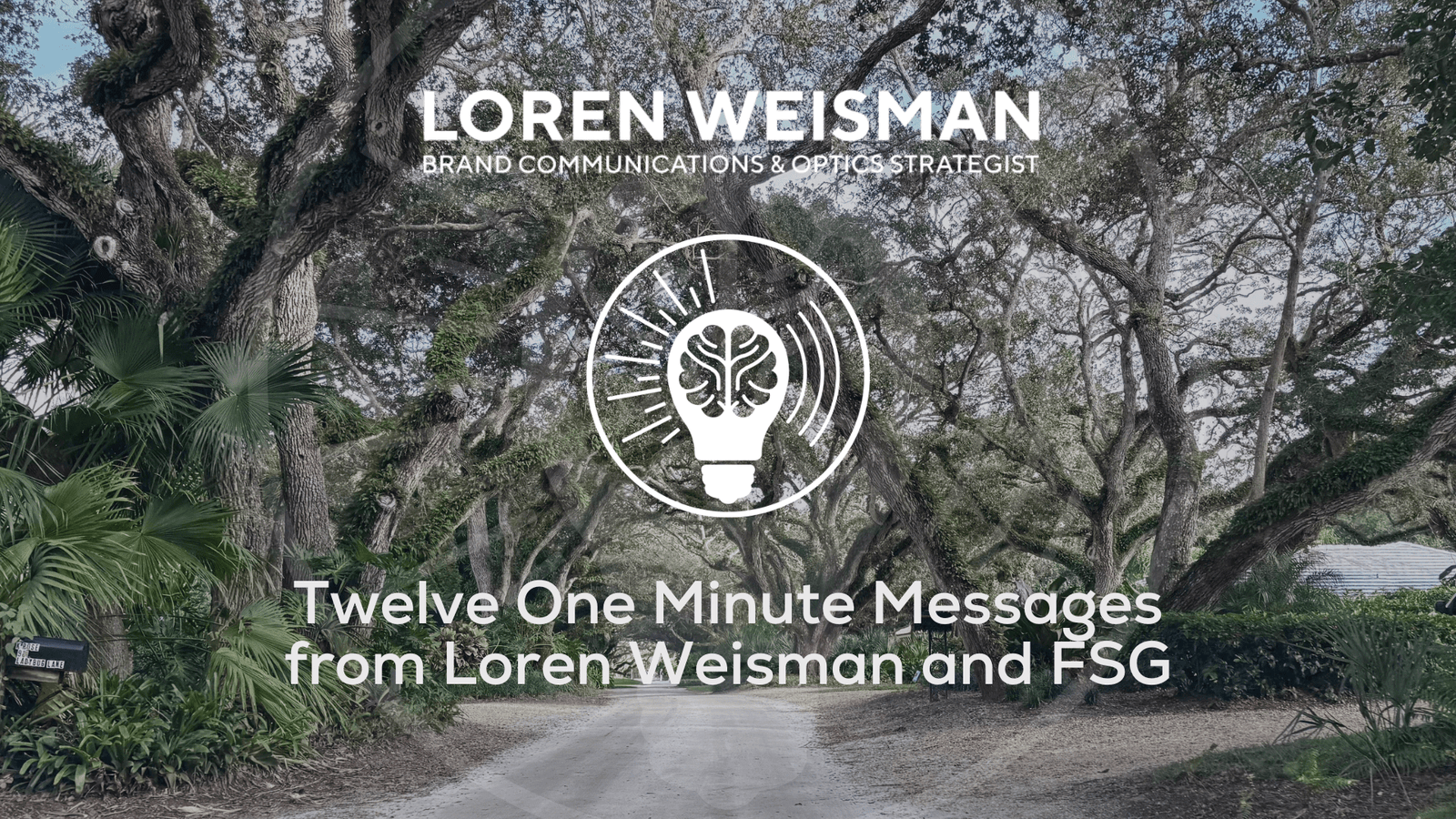 Twelve One Minute Messages from Loren Weisman and FSG