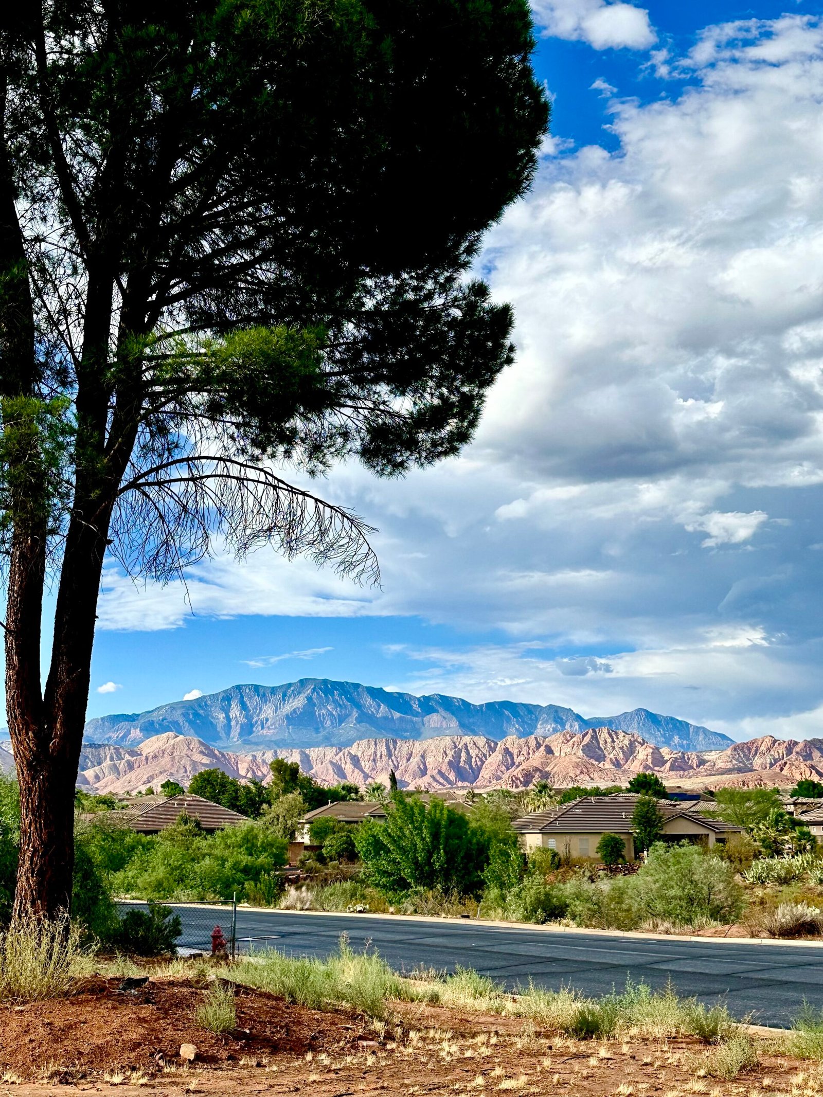 Strategic Patience Podcast Transcription, lorenweisman, washington utah