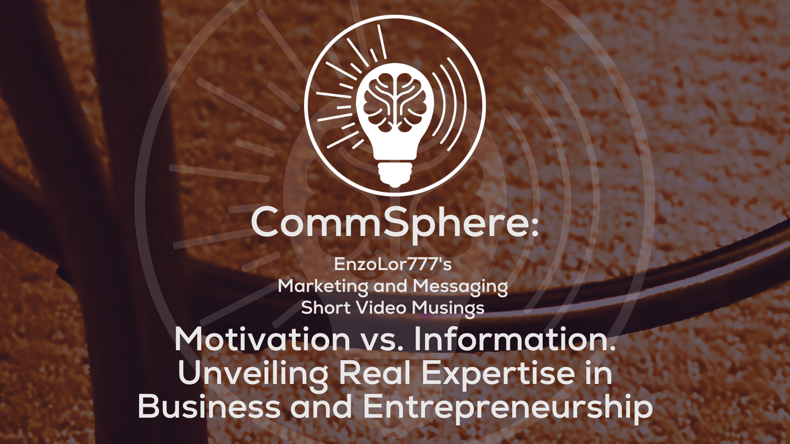 Motivation vs Information. Unveiling real expertise in business and entrepreneurship